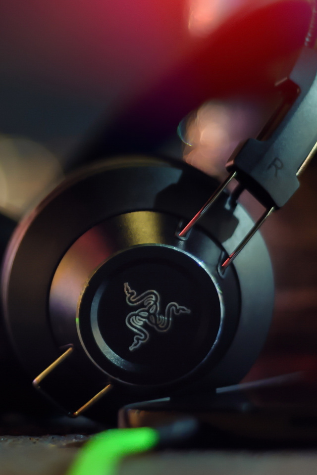 Fondo de pantalla Razer Adaro DJ Analog Headphones 640x960