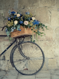 Обои Bicycle With Basket Full Of Flowers 240x320