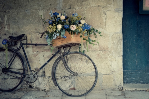Обои Bicycle With Basket Full Of Flowers 480x320