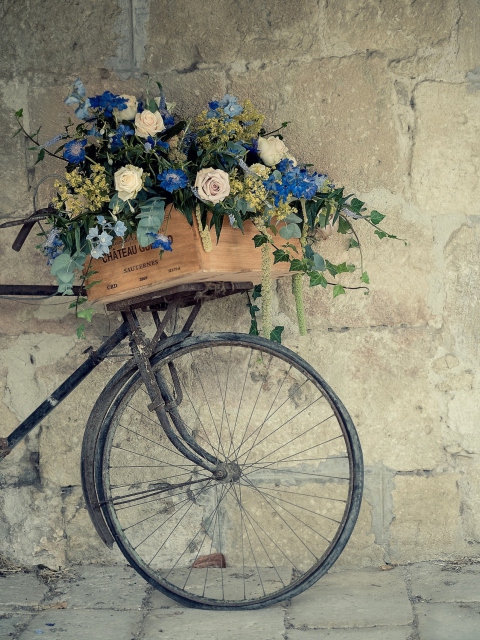 Bicycle With Basket Full Of Flowers wallpaper 480x640