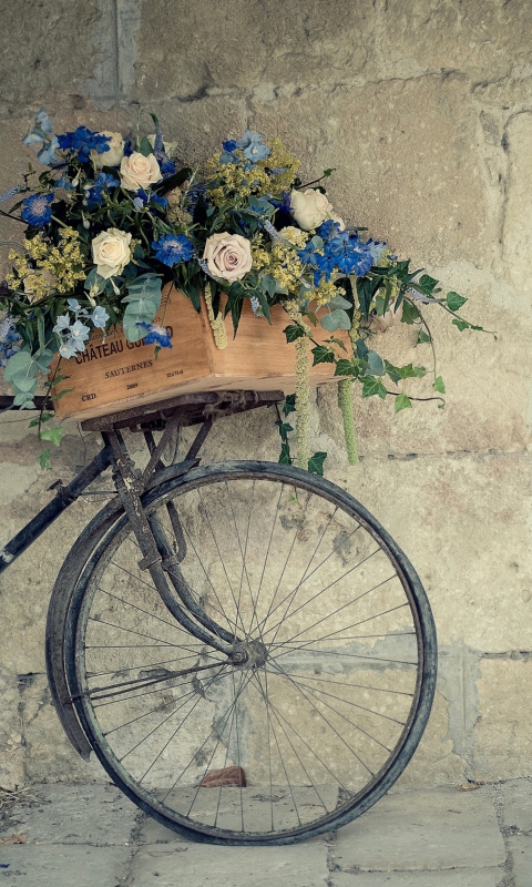 Das Bicycle With Basket Full Of Flowers Wallpaper 480x800