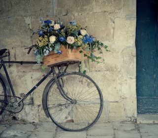 Kostenloses Bicycle With Basket Full Of Flowers Wallpaper für iPad mini