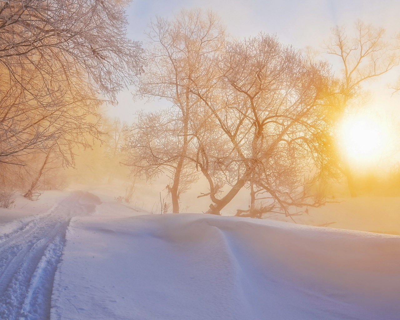Morning in winter forest wallpaper 1280x1024