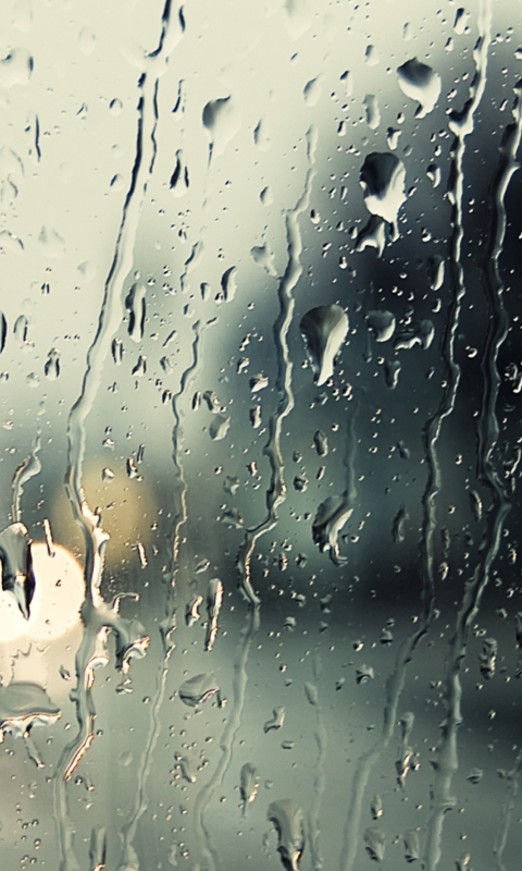 Das Rain Drops On Window Wallpaper 480x800