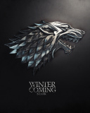 Das Winter is coming Wallpaper 128x160