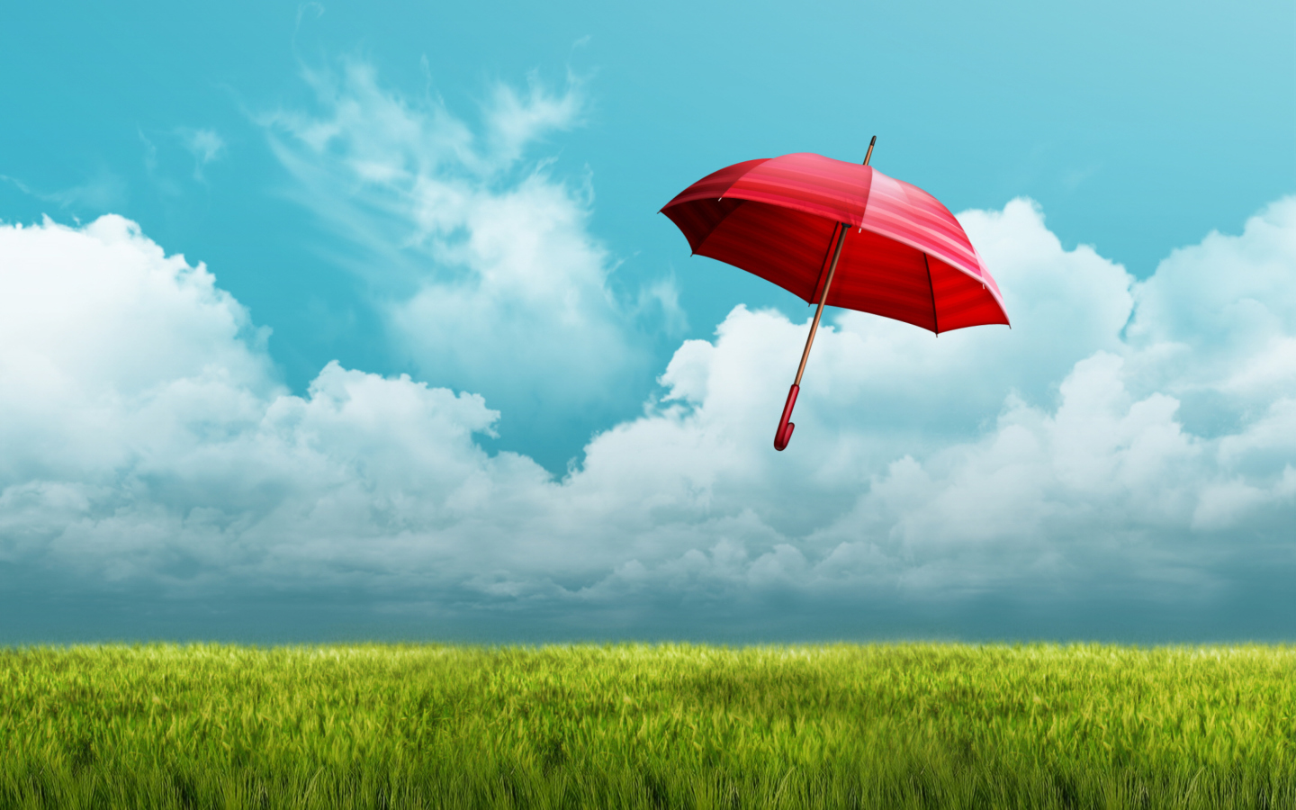 Umbrella On Horizon wallpaper 1440x900