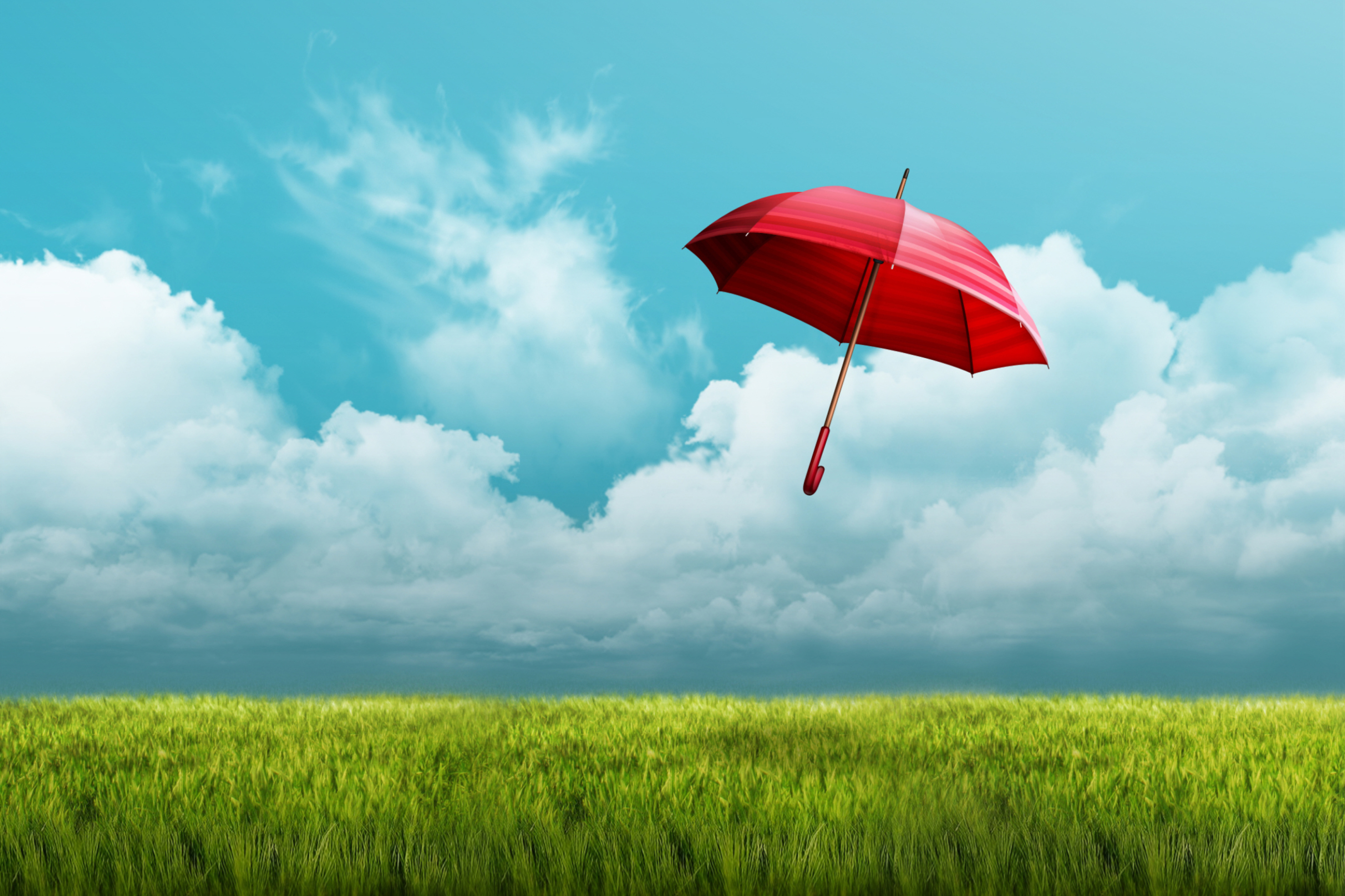 Umbrella On Horizon wallpaper 2880x1920