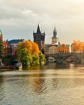 Free Charles Bridge Picture for 768x1280