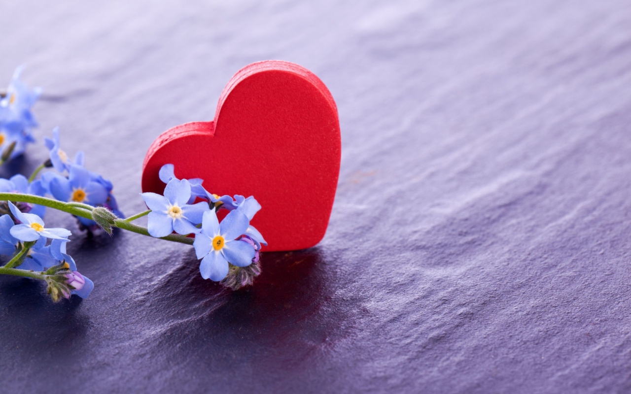 Love And Blue Flowers wallpaper 1280x800