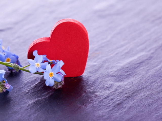 Love And Blue Flowers wallpaper 640x480