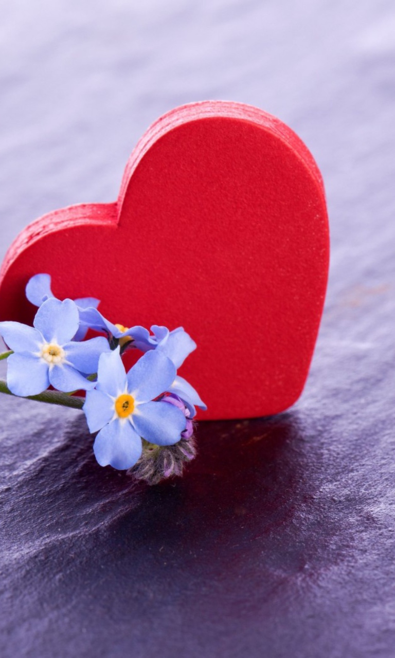 Love And Blue Flowers wallpaper 768x1280