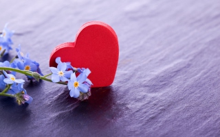 Kostenloses Love And Blue Flowers Wallpaper für Android, iPhone und iPad