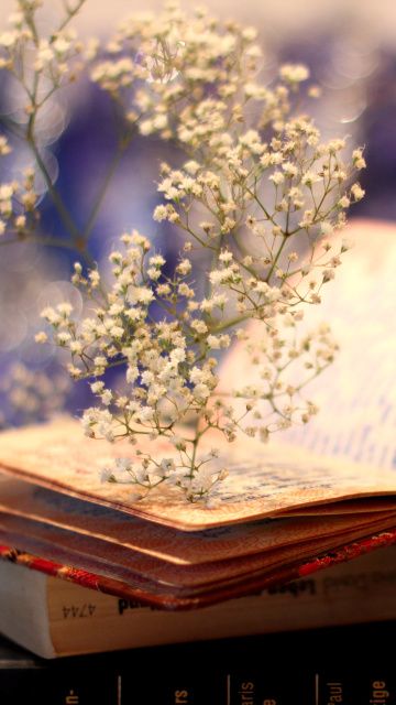 Antique Book wallpaper 360x640