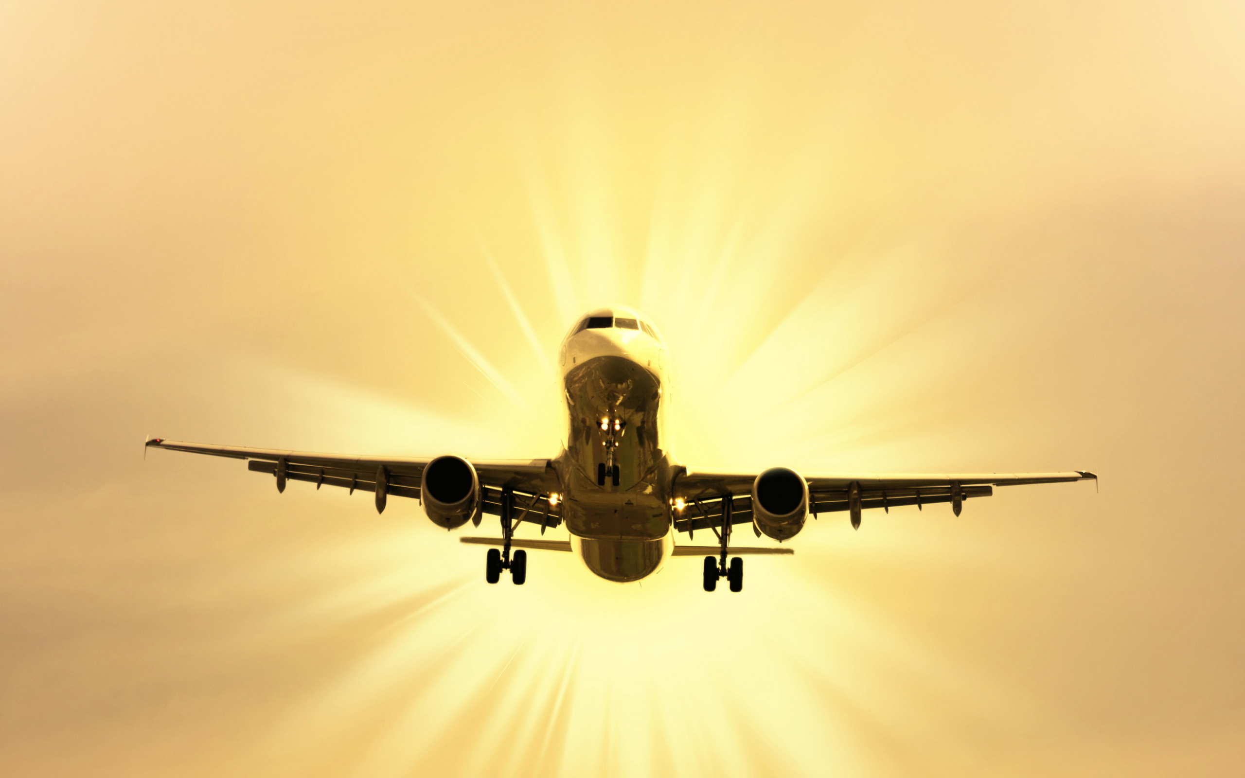 Airplane Takeoff wallpaper 2560x1600