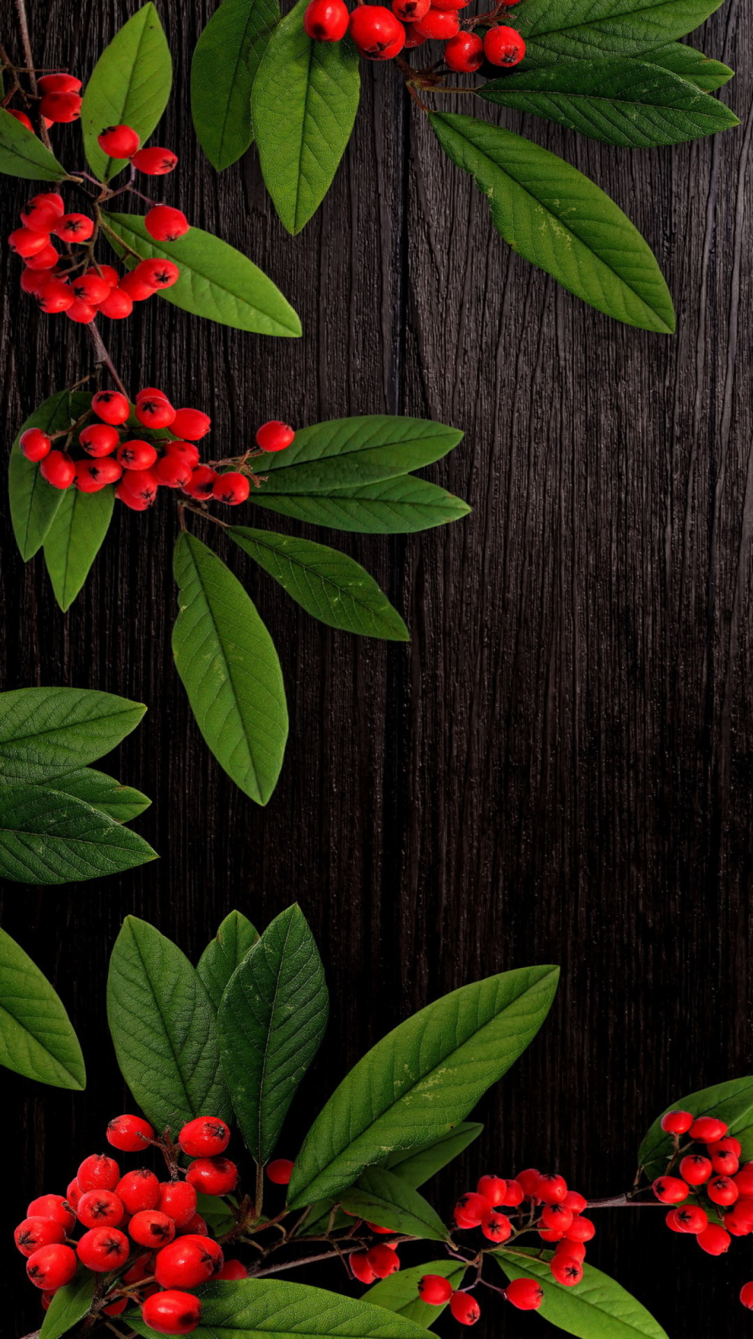 Screenshot №1 pro téma Autumn Berry 1080x1920