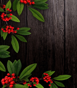 Autumn Berry Background for iPhone 6 Plus
