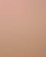 Das Soft Pink Wallpaper 176x220