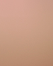 Soft Pink screenshot #1 176x220