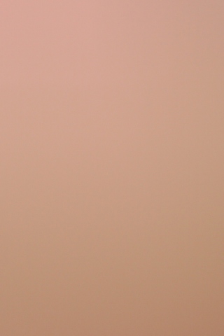 Soft Pink wallpaper 320x480