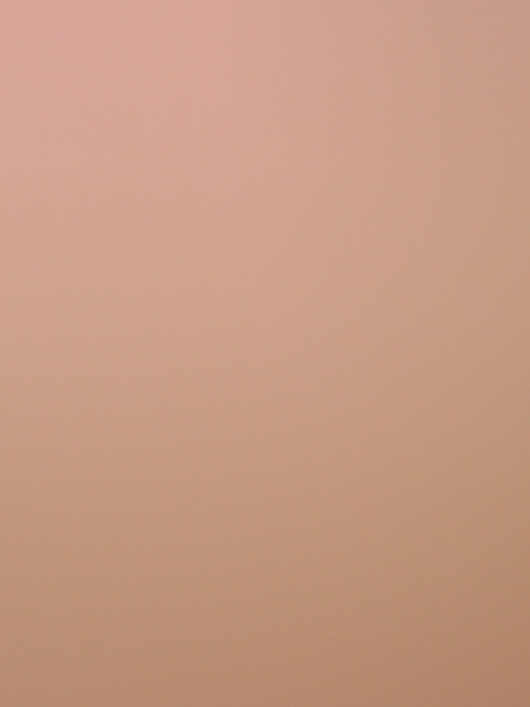 Soft Pink wallpaper 480x640