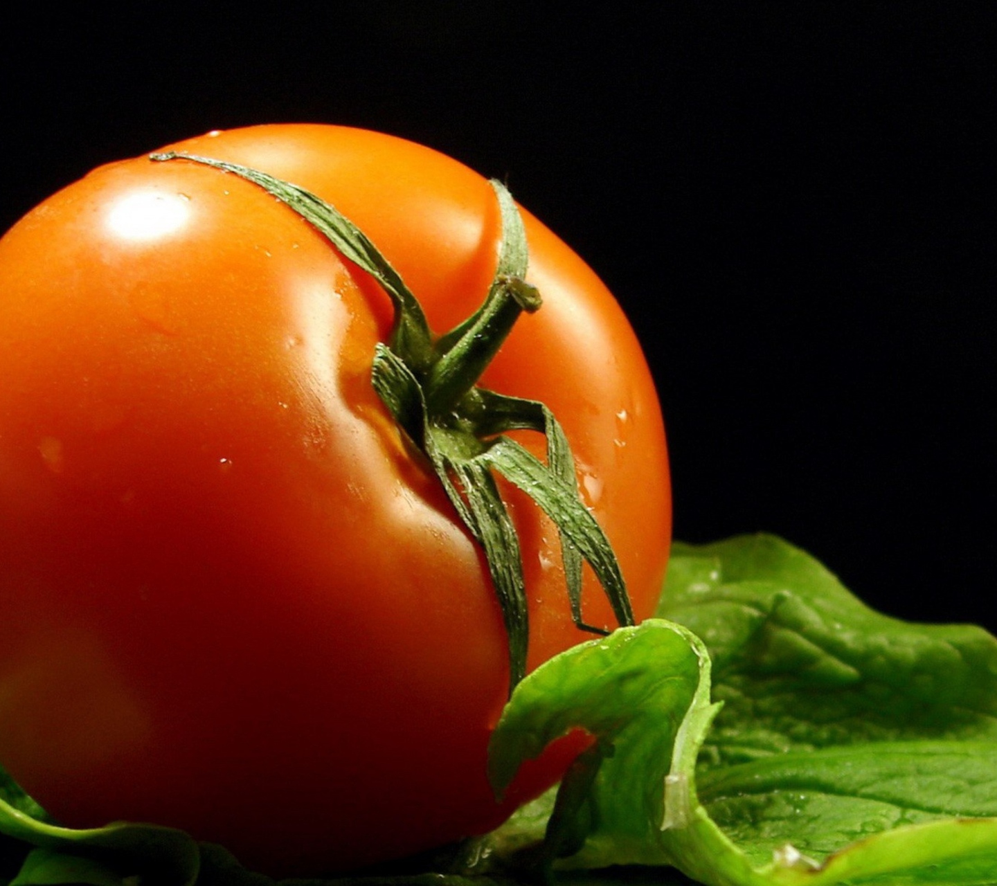 Red Tomato screenshot #1 1440x1280