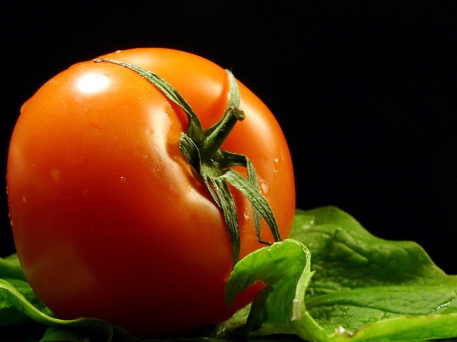 Screenshot №1 pro téma Red Tomato 640x480