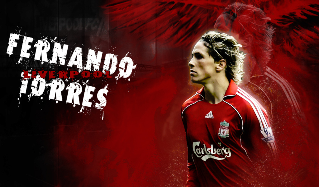 Fernando Torres screenshot #1 1024x600