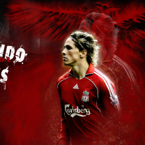 Fernando Torres screenshot #1 208x208