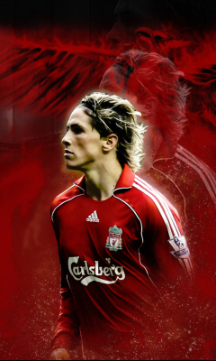 Fernando Torres screenshot #1 240x400