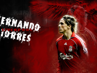 Обои Fernando Torres 320x240
