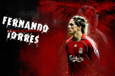 Обои Fernando Torres 480x320