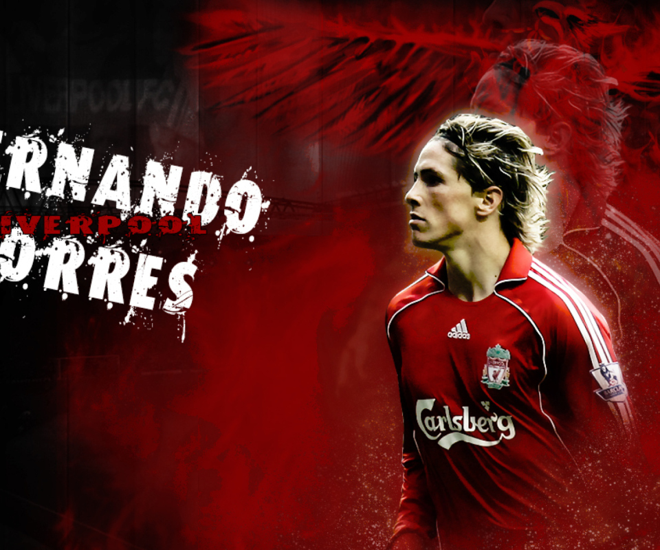 Fernando Torres screenshot #1 960x800