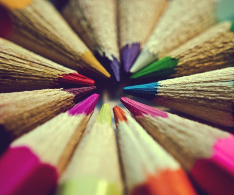 Das Bright Colors Of Pencils Wallpaper 480x400