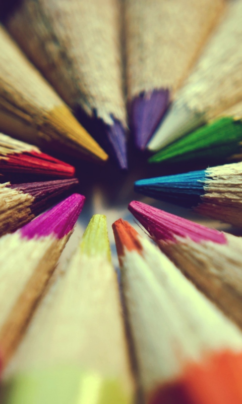 Das Bright Colors Of Pencils Wallpaper 480x800