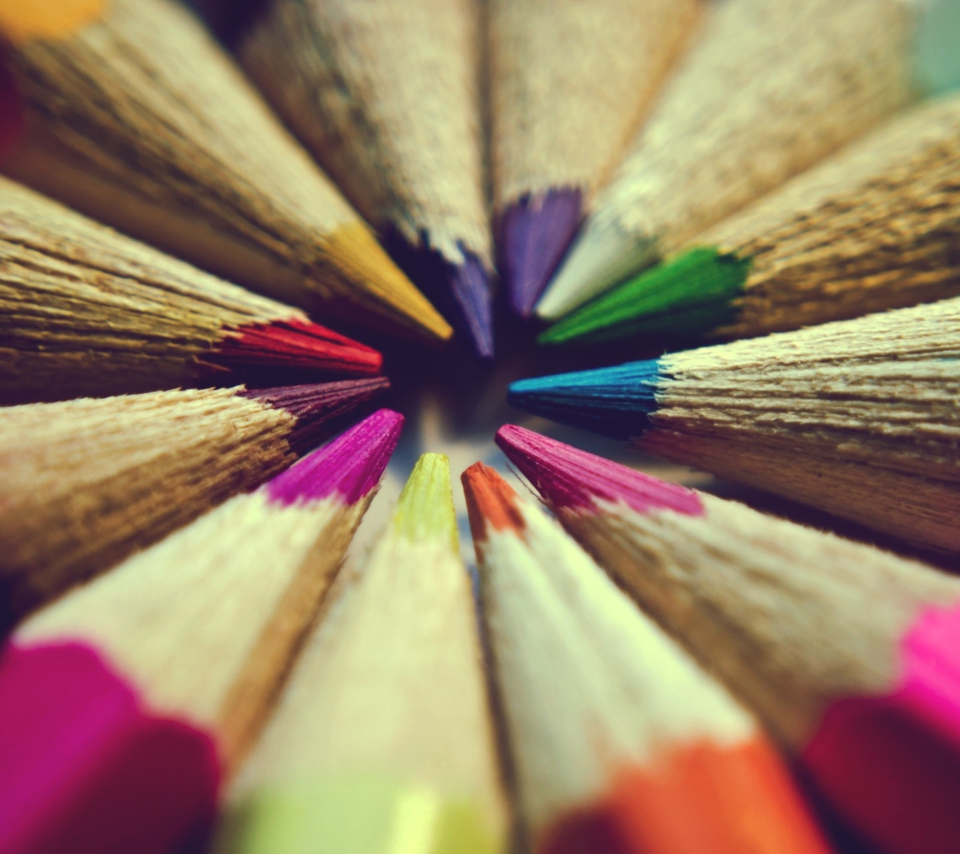 Das Bright Colors Of Pencils Wallpaper 960x854