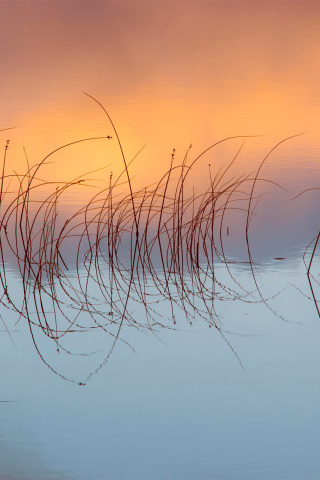 Scotland Weather screenshot #1 320x480