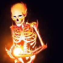 Fondo de pantalla Skeleton On Fire 208x208