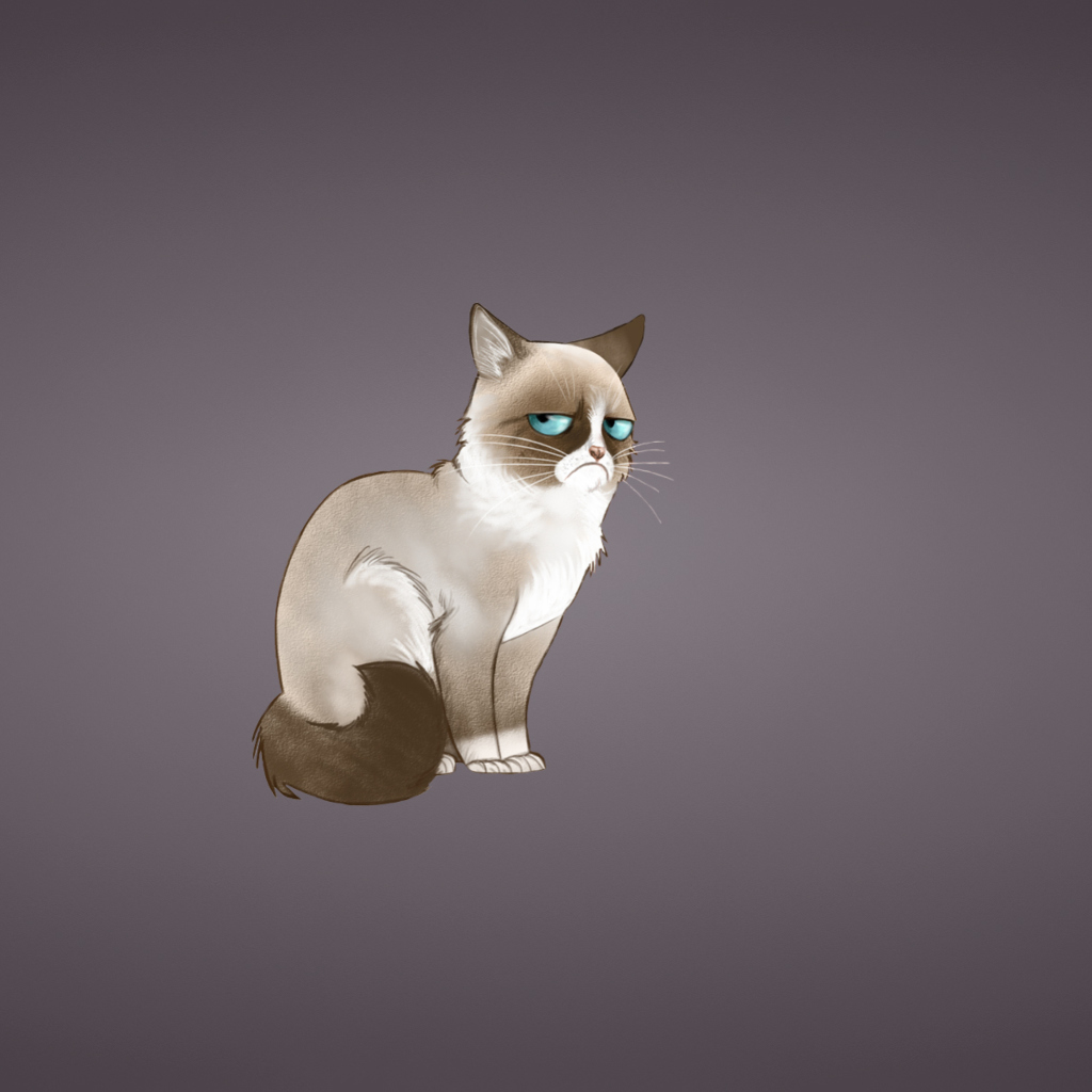 Grumpy Cat wallpaper 1024x1024