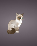 Fondo de pantalla Grumpy Cat 128x160