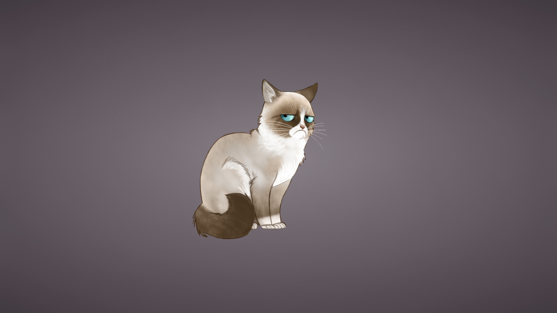 Sfondi Grumpy Cat 1920x1080