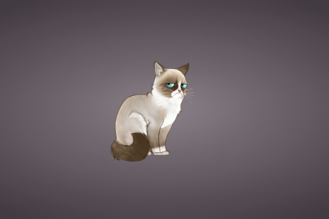 Fondo de pantalla Grumpy Cat 480x320