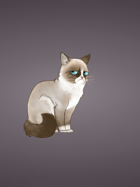 Grumpy Cat wallpaper 480x640