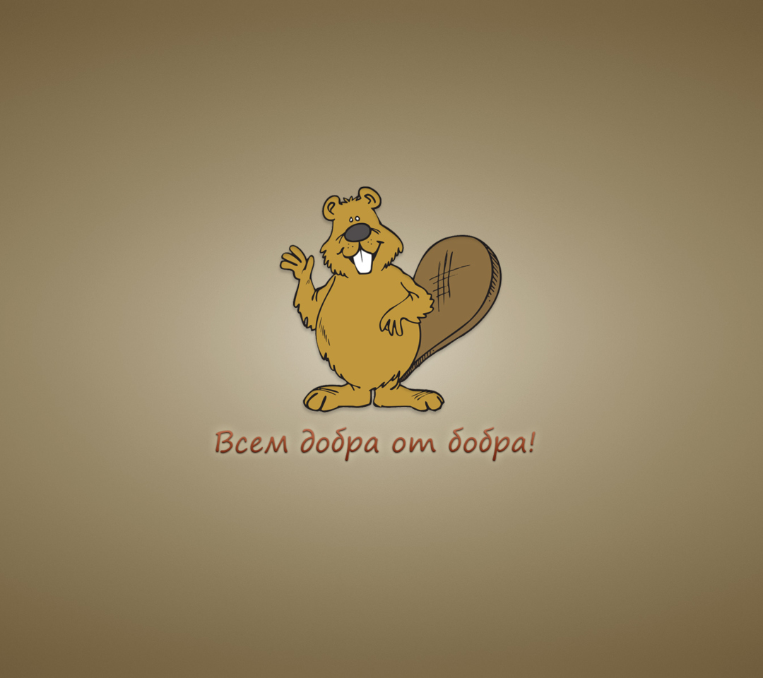 Kind Beaver wallpaper 1080x960