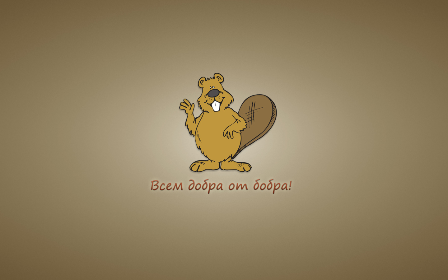 Kind Beaver wallpaper 1440x900