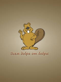 Fondo de pantalla Kind Beaver 240x320