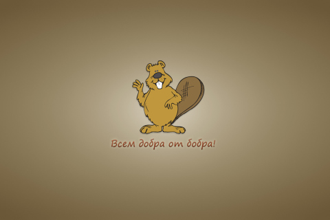 Fondo de pantalla Kind Beaver 480x320