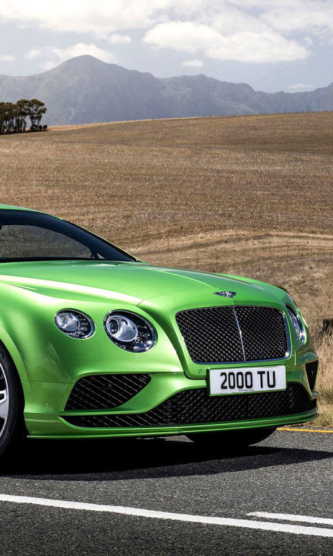 Screenshot №1 pro téma Bentley Continental GT 4 480x800