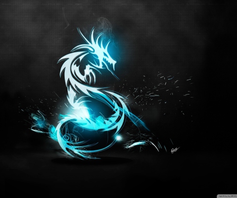 Fondo de pantalla Blue Dragon Symbol 480x400