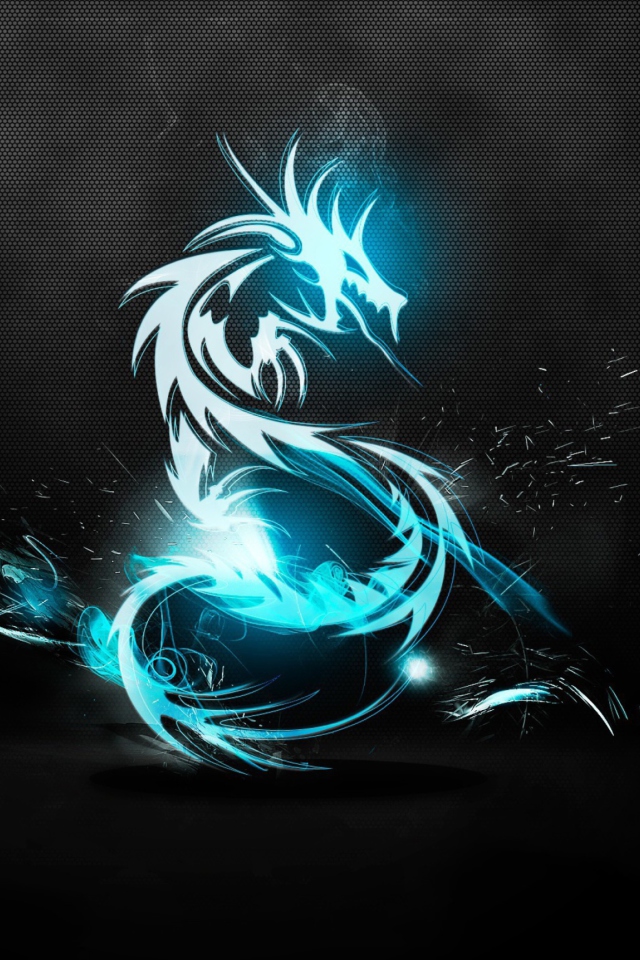 Fondo de pantalla Blue Dragon Symbol 640x960