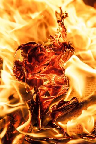 Das Burn and flames Wallpaper 320x480